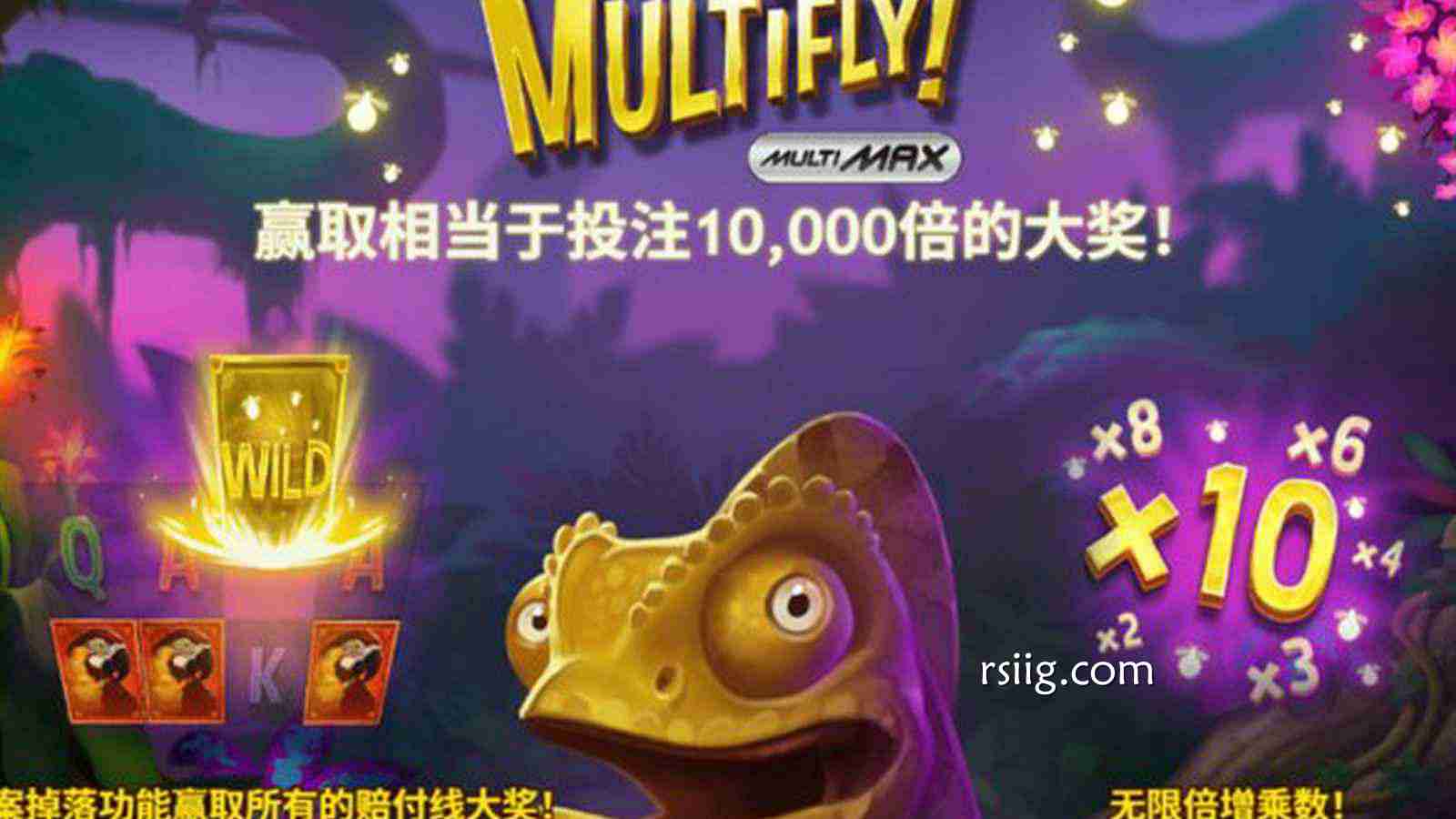 《多飞》：冲上云霄，感受心跳加速的刺激体验！