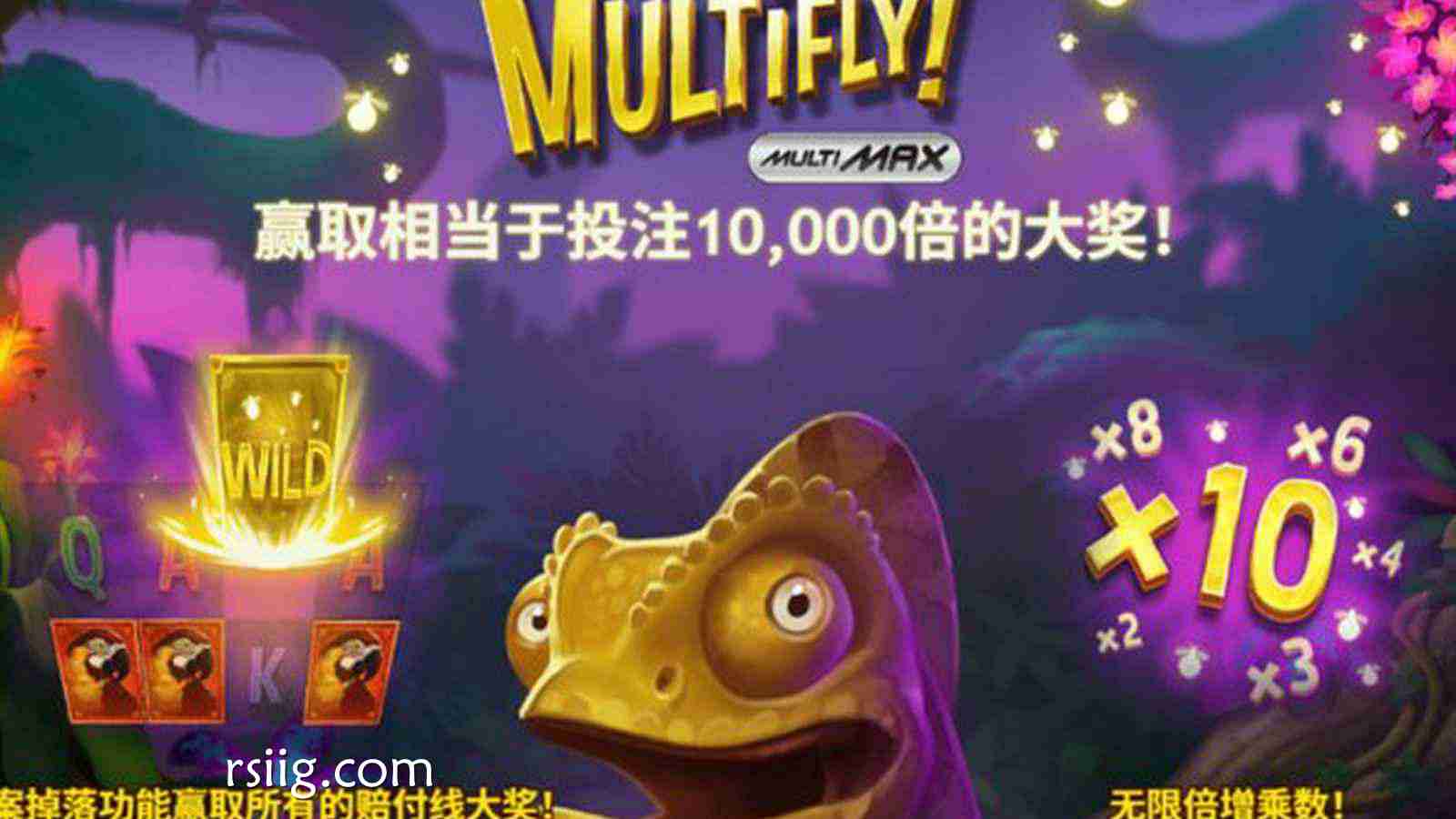 《多飞》：冲上云霄，感受心跳加速的刺激体验！