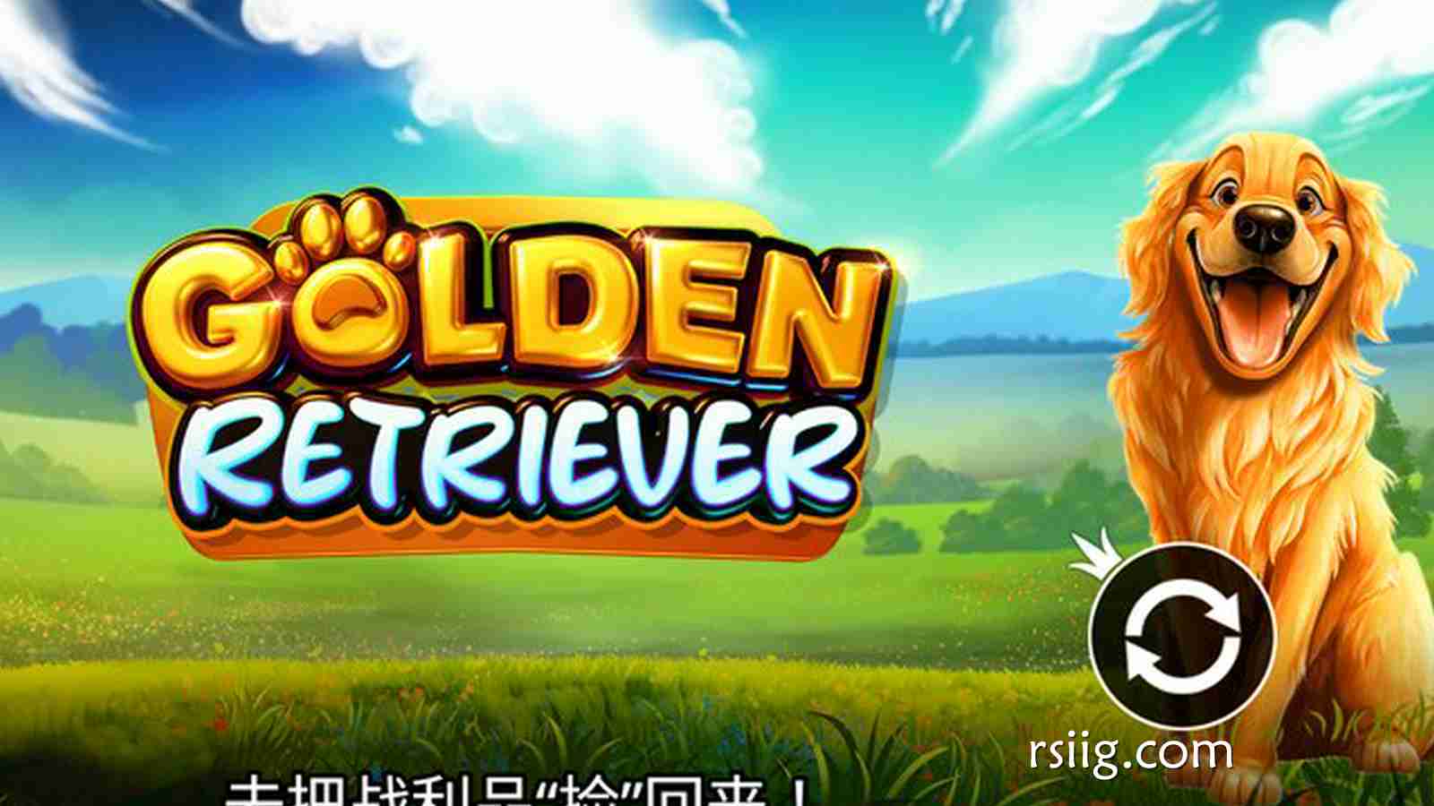 《黄金猎犬》：开启你的专属治愈系冒险与财富之旅！