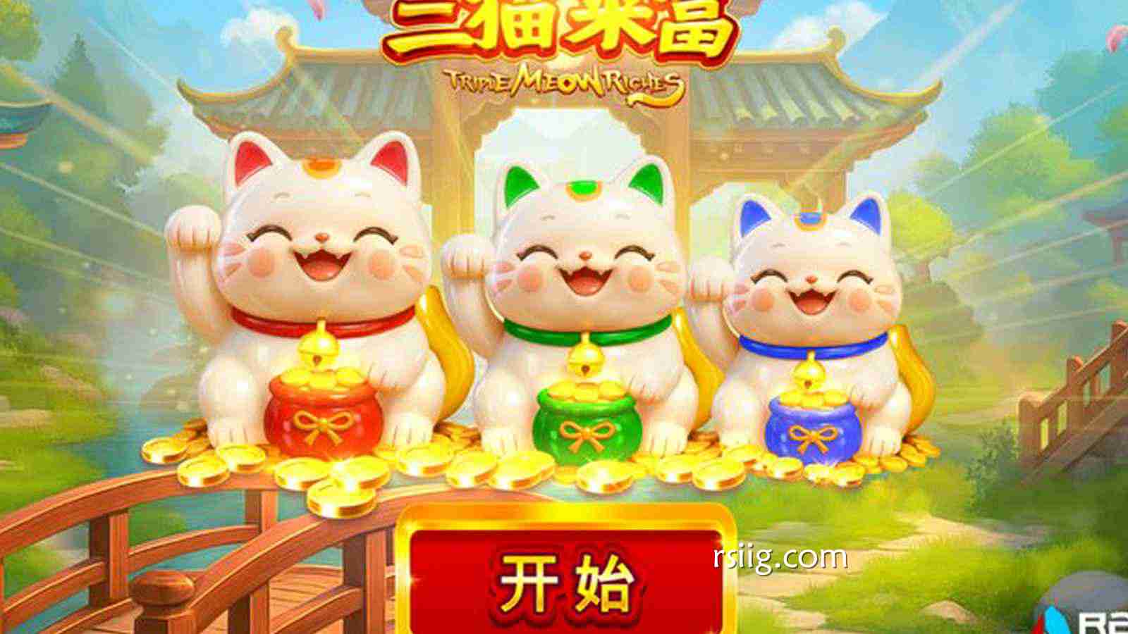 三猫降临，好运翻倍！《三猫来富》开启你的暴富奇遇！